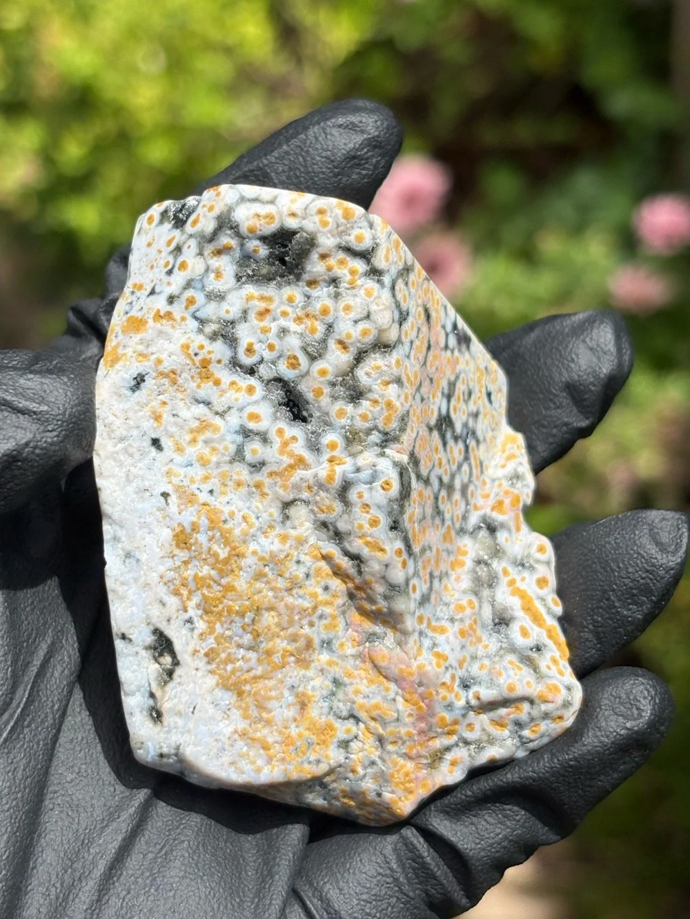Ocean Jasper Crystal Freeform - Orbicular Jasper - Sea Jasper - Polished